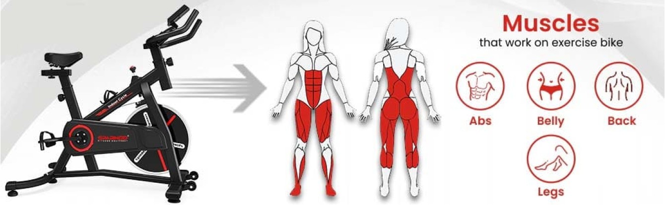 Leg Bicycle Ab Workout Muscles Abs Workout Oblique Bicycle Crunch