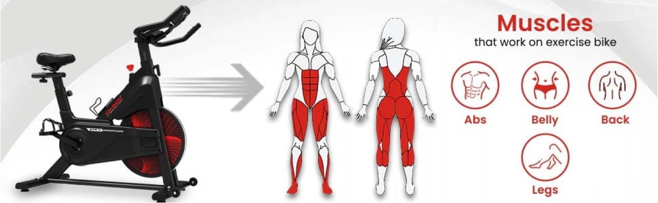 Indoor Cycling What Muscles Does A Stationary Bike Work Benefits